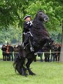 Feuerwerk Deutschland2   041